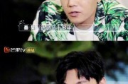 女主娱乐圈吃瓜小说推荐,女主吃瓜指南，揭秘明星背后的秘密