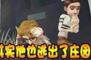 第五人格五月爆料视频,惊悚游戏新篇章即将开启