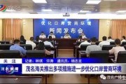 茂名今天新闻最新爆料,最新爆料揭示重大事件真相
