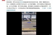 爆料视频最新网站在线看,独家网站在线观看全解析