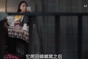 爆料视频见儿子的视频,视频曝光，儿子与父亲温馨互动瞬间