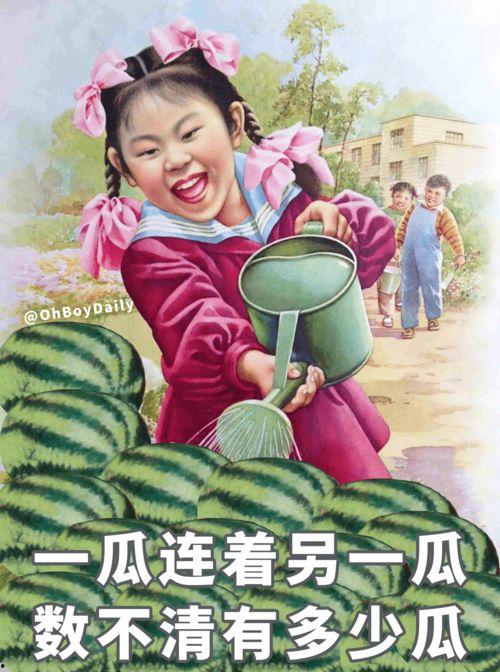 娱乐吃瓜图鉴,揭秘明星幕后故事